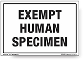 Exempt human specimen. Kleebis 190x134mm.